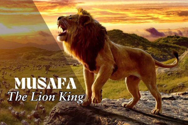 Musafa The Lion King Review